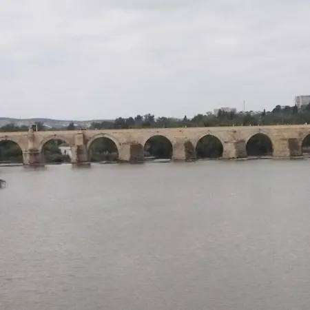 Caprichos De La Mezquita *
